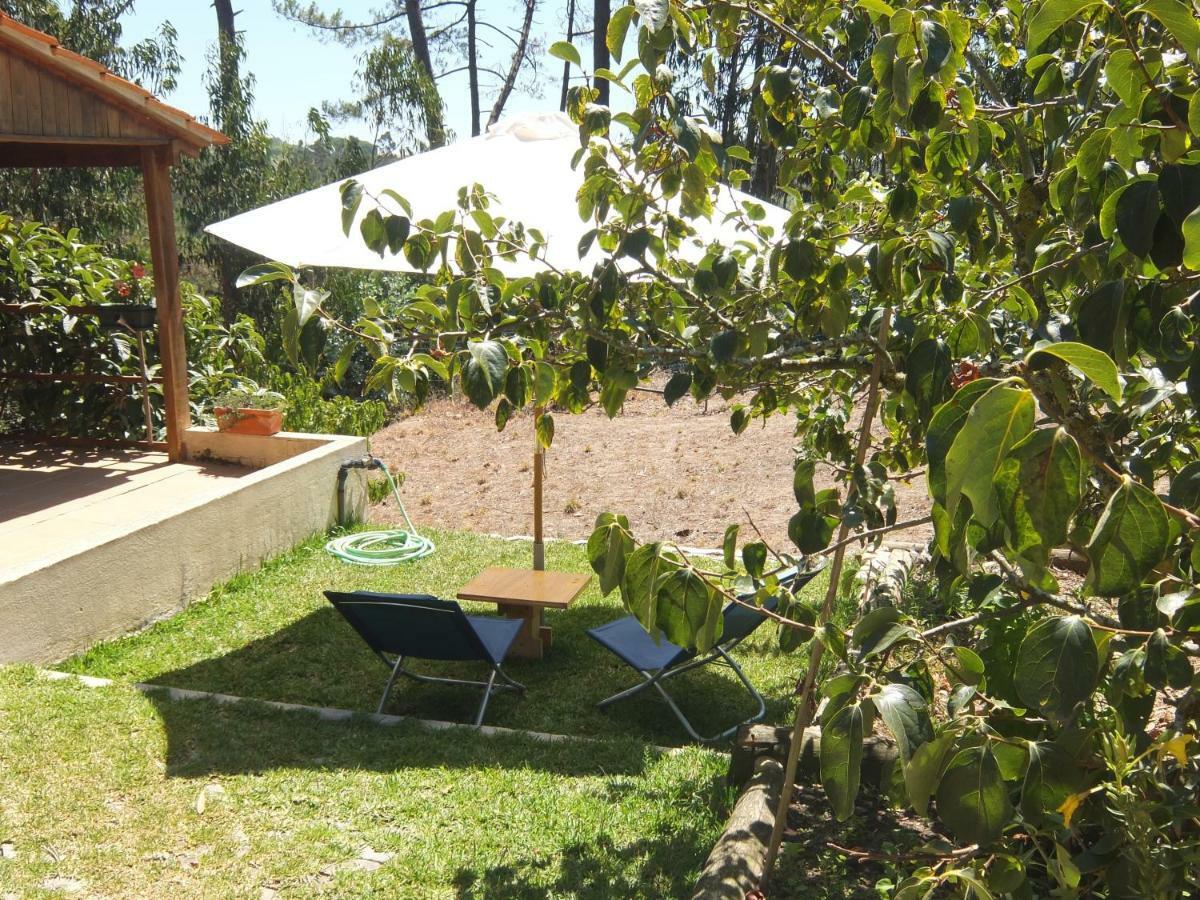 Villa Ecobosque à Nadadouro Extérieur photo